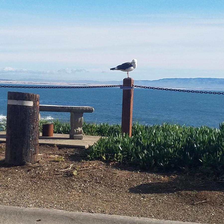 Shell Beach Inn Pismo Beach Εξωτερικό φωτογραφία